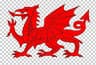 Welsh Dragon