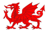 Welsh Dragon